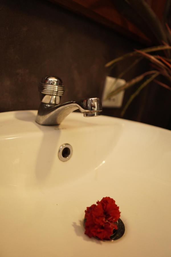 Surf Nest Hiriketiya Otel Dikwella Dış mekan fotoğraf
