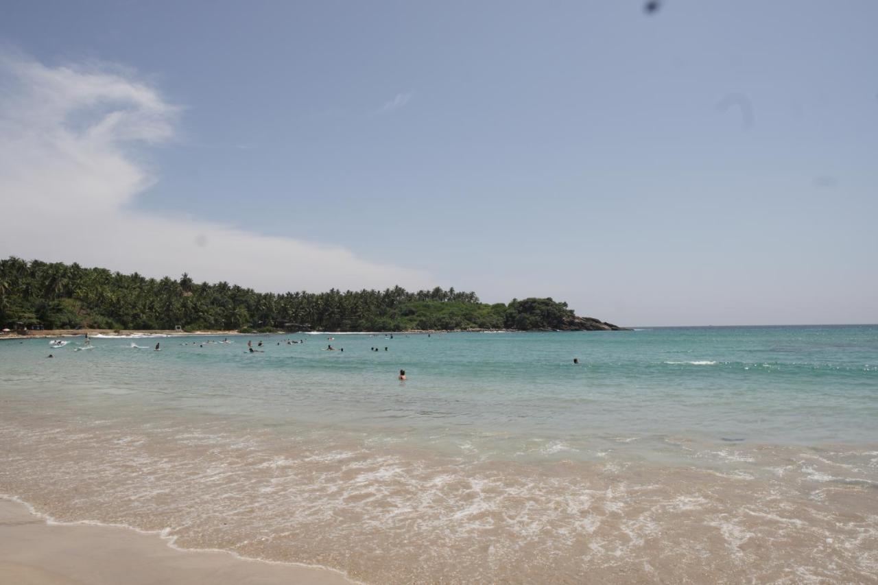 Surf Nest Hiriketiya Otel Dikwella Dış mekan fotoğraf